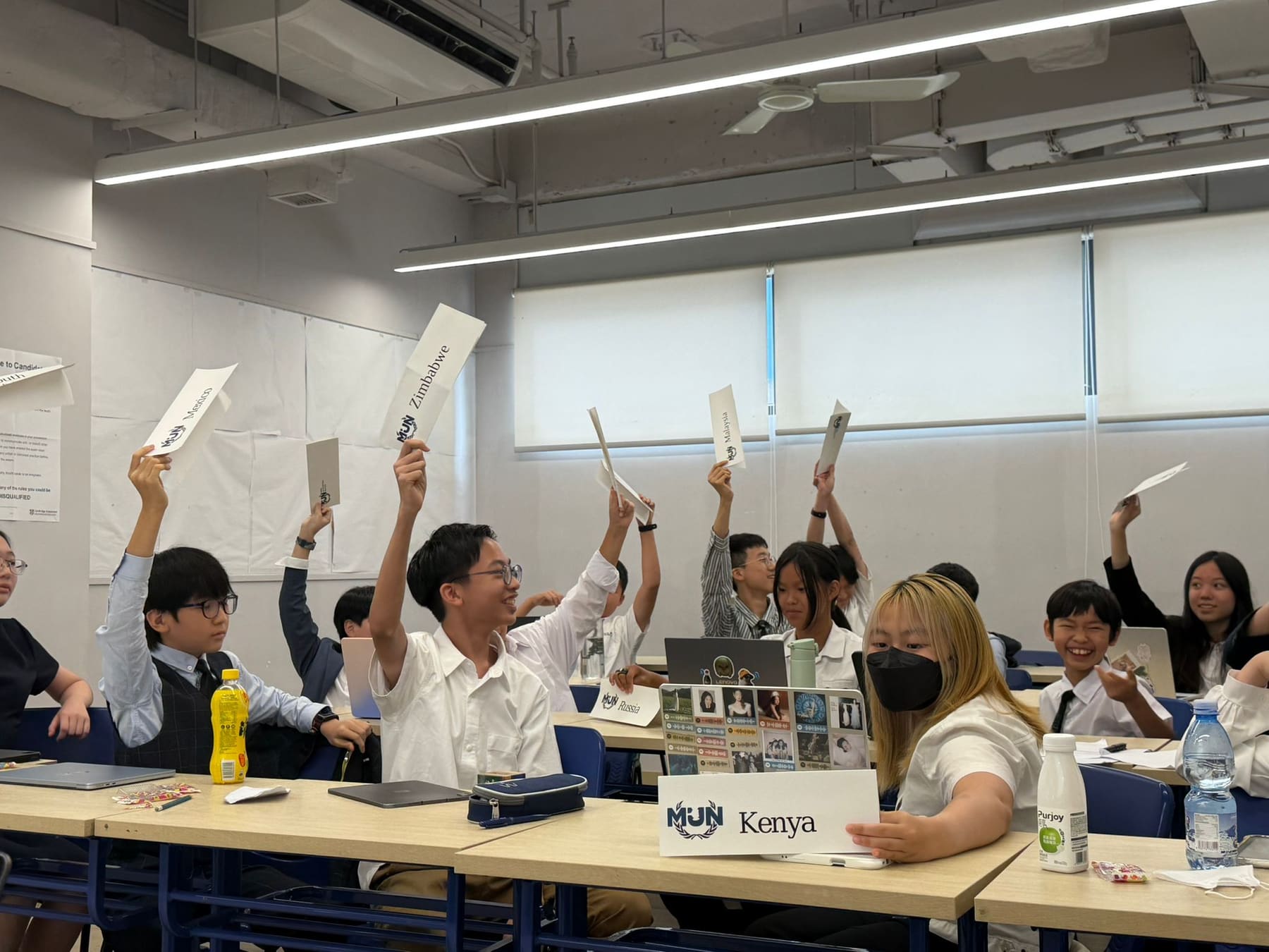 Delegates raising country placards during a vote